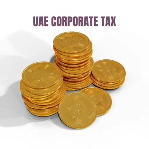 Corporate Tax Filling